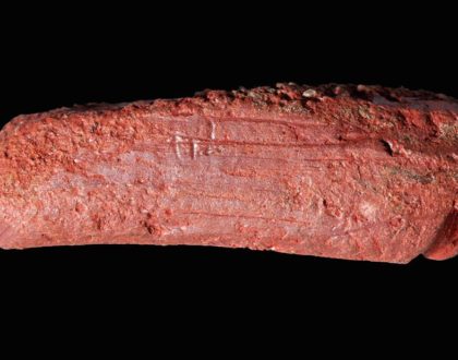 Stone Age crayon points to artsy ancestors     - CNET