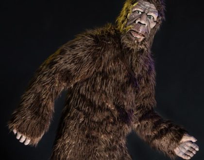 Bigfoot may soon stomp across best license plate ever     - CNET